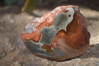 Polished One Side Polished Polychrome Jasper Nodules  x 6 From Mahajanga, Madagascar