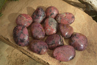 Polished Rhodonite Galet / Palm Stones x 12 From Zimbabwe