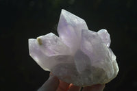 Natural Jacaranda Amethyst Clusters  x 3 From Mumbwa, Zambia - Toprock Gemstones and Minerals 