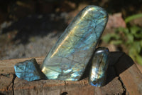 Polished Flashy Labradorite Standing Free Forms  x 3 From Tulear, Madagascar - Toprock Gemstones and Minerals 