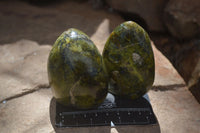 Polished Green Opal Standing Free Forms  x 6 From Madagascar - Toprock Gemstones and Minerals 