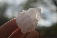 Natural White Cactus Flower Spirit Quartz Specimens x 70 From Boekenhouthoek, South Africa