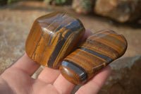 Polished Golden Tigers Eye Free Forms x 12 From Prieska, Northern Cape