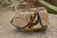 Polished Septaria (Yellow Calcite & Aragonite) Points x 2 From Mahajanga, Madagascar - TopRock