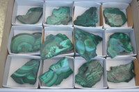 Polished Flower & Banded Malachite Slices  x 12 From Congo - Toprock Gemstones and Minerals 