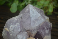 Natural Jacaranda Amethyst Cluster x 1 From Mumbwa, Zambia - TopRock