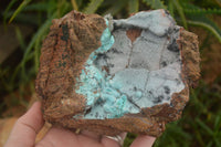 Natural Drusy Coated Chrysocolla & Malachite Specimen x 1 From Likasi, Congo