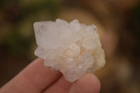 Natural White Cactus Flower Spirit Quartz Specimens x 70 From Boekenhouthoek, South Africa