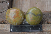 Polished Large Green Opal Palm Stones  x 12 From Madagascar - Toprock Gemstones and Minerals 