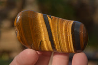 Polished Golden Tigers Eye Free Forms x 12 From Prieska, Northern Cape