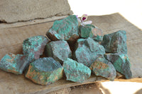 Natural Rough Malacholla With Copper Specimens  x 15 From Namibia - TopRock