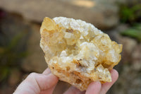 Natural Golden Limonite / Lemonite Quartz Clusters  x 4 From Solwezi, Zambia - TopRock