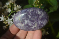 Polished Purple Lepidolite Palm Stones  x 12 From Zimbabwe