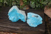 Natural Botryoidal Chrysocolla Specimens x 2 From Congo