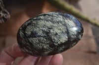 Polished Spotted Leopard Stone Free Forms  x 6 From Zimbabwe