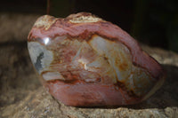 Polished One Side Polished Polychrome Jasper Nodules  x 6 From Mahajanga, Madagascar