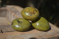 Polished Large Green Opal Palm Stones  x 12 From Antsirabe, Madagascar - Toprock Gemstones and Minerals 