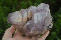 Natural Jacaranda Amethyst Cluster x 1 From Mumbwa, Zambia - TopRock