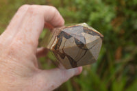 Polished Septaria (Yellow Calcite & Aragonite) Points x 2 From Mahajanga, Madagascar - TopRock