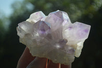 Natural Jacaranda Amethyst Clusters  x 3 From Mumbwa, Zambia - Toprock Gemstones and Minerals 