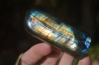 Polished Flashy Labradorite Standing Free Forms  x 3 From Tulear, Madagascar - Toprock Gemstones and Minerals 