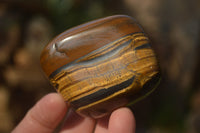 Polished Golden Tigers Eye Free Forms x 12 From Prieska, Northern Cape