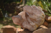 Natural Large Red Hematoid Phantom Quartz Cluster  x 1 From Karoi, Zimbabwe - TopRock