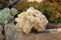 Natural Golden Limonite / Lemonite Quartz Clusters  x 4 From Solwezi, Zambia - TopRock