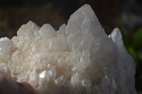 Natural Large Candle Quartz Formations  x 2 From Madagascar - Toprock Gemstones and Minerals 