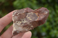 Natural Red Hematoid Quartz Specimens x 12 From Karoi, Zimbabwe - TopRock