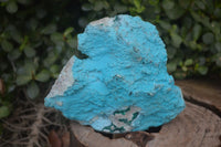 Natural Botryoidal Chrysocolla Specimens x 2 From Congo