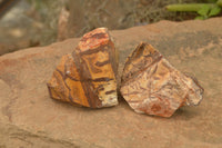 Natural Medium Cobbed Nguni Jasper Pieces - sold per 5 kg - From Northern Cape, South Africa - TopRock