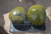 Polished Large Green Opal Palm Stones  x 12 From Antsirabe, Madagascar - Toprock Gemstones and Minerals 