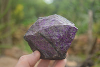 Natural XXX Rare Deep Purple Wessels Mine Sugilite Specimen x 1 From Wessels Mine, South Africa - TopRock