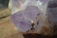 Natural Jacaranda Amethyst Cluster x 1 From Mumbwa, Zambia - TopRock