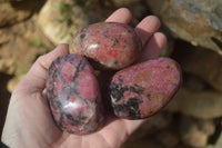 Polished Rhodonite Galet / Palm Stones x 12 From Zimbabwe