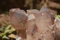 Natural Large Red Hematoid Phantom Quartz Cluster  x 1 From Karoi, Zimbabwe - TopRock