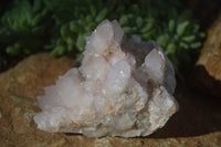 Natural Pale Lilac Spirit Quartz Clusters  x 2 From Boekenhouthoek, South Africa - Toprock Gemstones and Minerals 