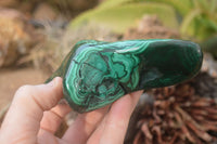 Polished Malachite Free Forms x 3 From Kolwezi, Congo