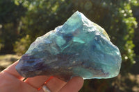 Natural Cobbed & Stone Sealed Watermelon Fluorite Pieces x 12 From Uis, Namibia - TopRock