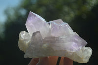 Natural Jacaranda Amethyst Clusters  x 3 From Mumbwa, Zambia - Toprock Gemstones and Minerals 