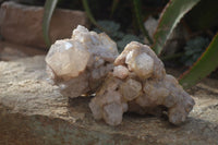 Natural Cascading Smokey Quartz Clusters x 2 From Luena, Congo