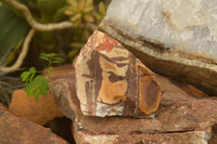 Natural Medium Cobbed Nguni Jasper Pieces - sold per 5 kg - From Northern Cape, South Africa - TopRock