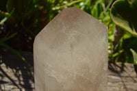 Polished Large Semi Optic Highly Translucent Smokey Quartz Point x 1 From Madagascar - TopRock