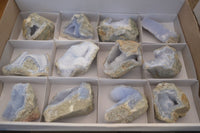 Natural Blue Lace Agate Geode Specimens  x 12 From Nsanje, Malawi