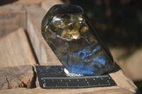 Polished Labradorite Standing Free Forms With Blue & Gold Flash  x 6 From Tulear, Madagascar - Toprock Gemstones and Minerals 