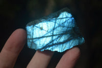 Polished Flashy Labradorite Standing Free Forms  x 3 From Tulear, Madagascar - Toprock Gemstones and Minerals 