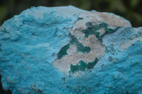 Natural Botryoidal Chrysocolla Specimens x 2 From Congo