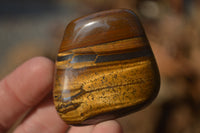 Polished Golden Tigers Eye Free Forms x 12 From Prieska, Northern Cape