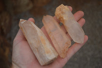 Natural Single White Quartz Crystals  x 12 From Madagascar - TopRock